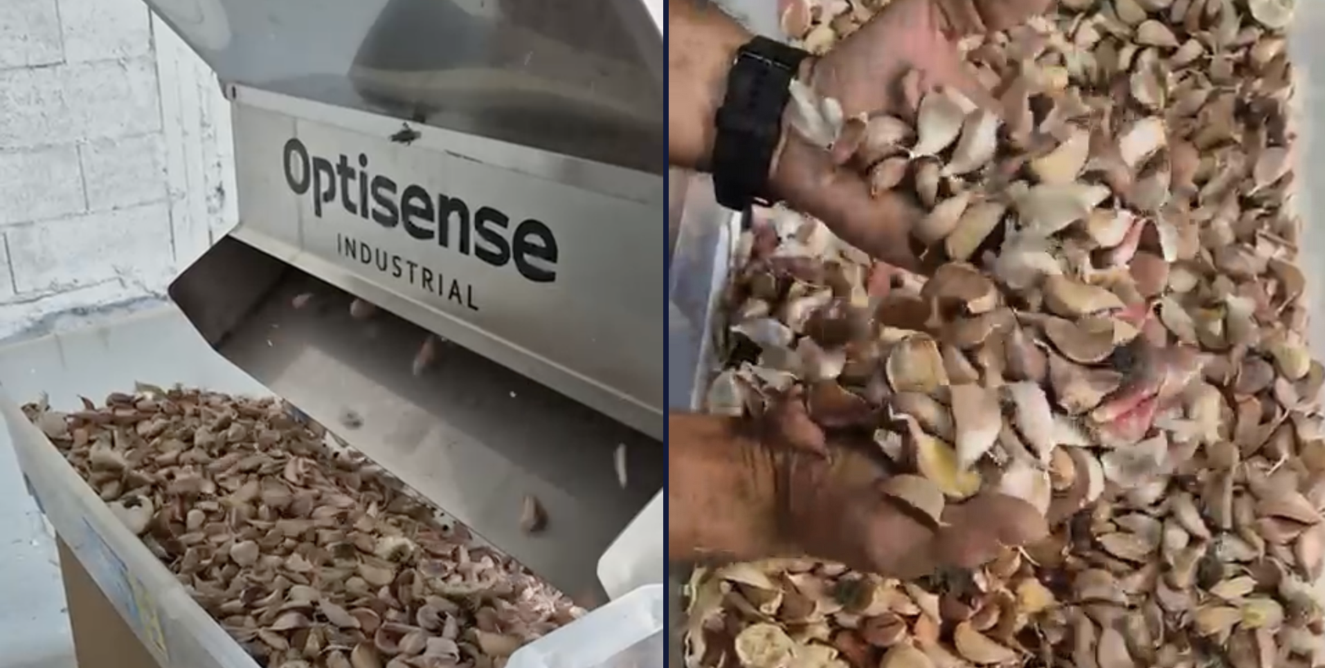 Maquinaria de clasificación óptica en línea de producción